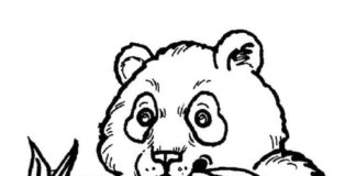 Panda jí listy k vytisknutí omalovánky pro děti