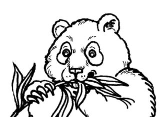 Coloring Book Panda Eats Leaves Printable for Kids