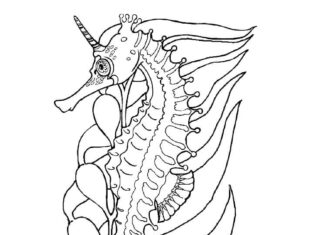 Online coloring book Beautiful seahorse