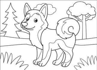 Online színező könyv Husky kutya gyerekeknek