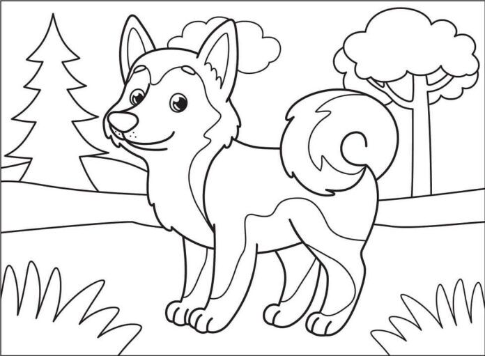 Online målarbok Husky hund för barn