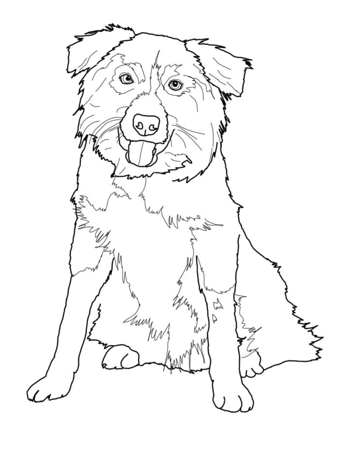 オンライン塗り絵 ボーダーコリー犬