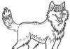 Online omalovánky Husky pes z pohádky