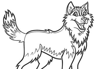 Livro colorido on-line Um cachorro husky do conto de fadas