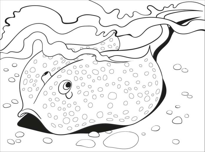Online coloring book Coat at the bottom of the sea