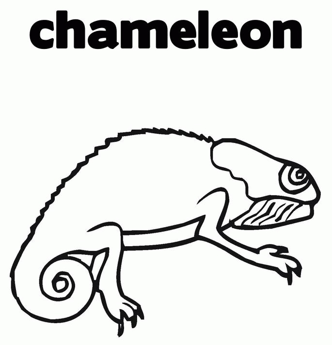 Printable Simple Chameleon Coloring Book