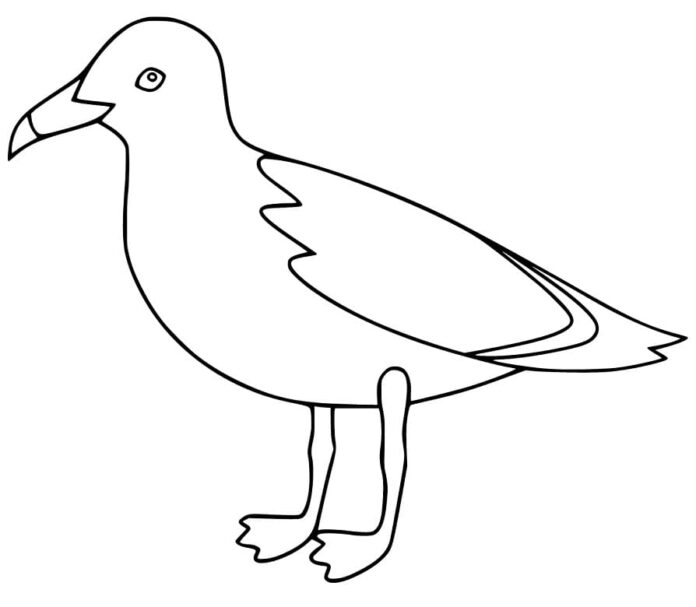 Online-Malbuch Albatros Vogel für Kinder