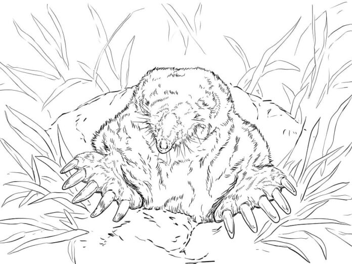 Online coloring book Realistic mole in a mound