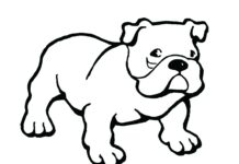 Livro online para colorir Bulldog jovem realista