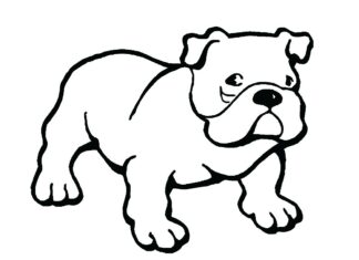 Online coloring book Realistic young bulldog