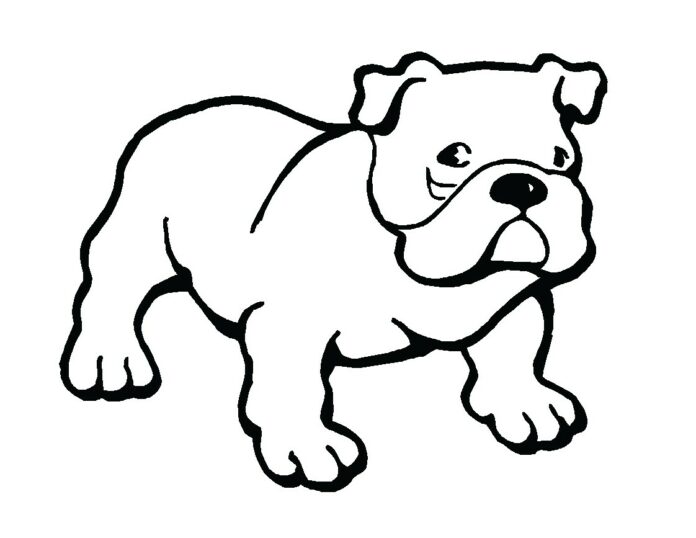 Online színezőkönyv Realisztikus fiatal bulldog