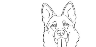 Online-Malbuch Realistischer Deutscher Schäferhund