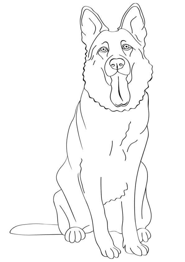 オンライン塗り絵 リアルなジャーマンシェパード犬