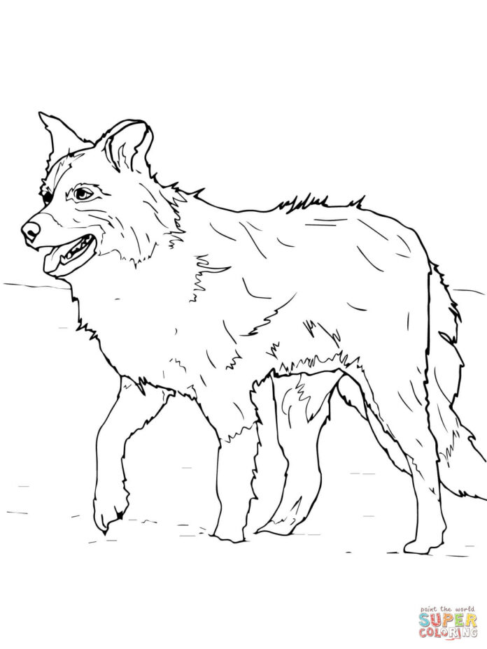 オンライン塗り絵 リアルなボーダーコリー犬