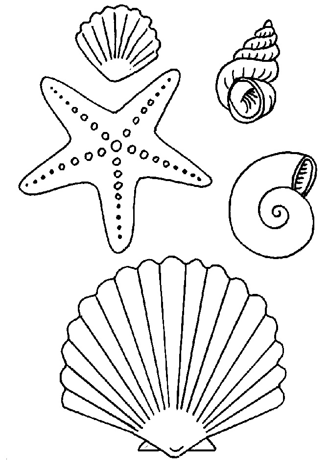 Livro colorido on-line Conchas diferentes do mar