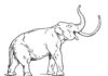 Online-Malbuch Prähistorisches Mammut brüllt