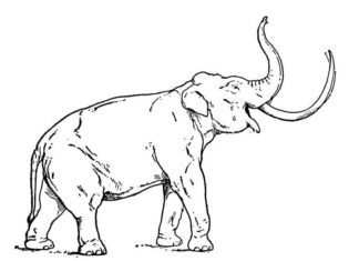 Online-värityskirja Esihistoriallinen mammutti karjuu