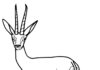 Online värityskirja Female Gazelle lapsille