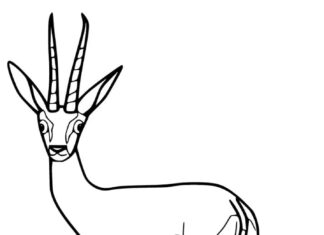 Online målarbok Female Gazelle för barn