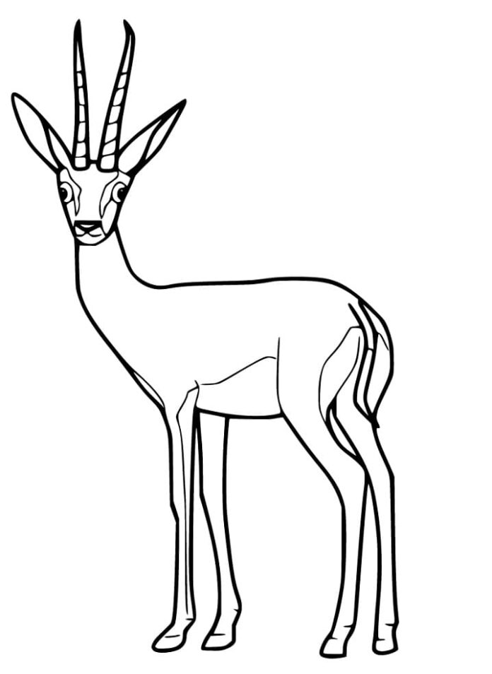 Livre de coloriage en ligne Gazelle femelle pour enfants