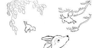 Libro da colorare Coniglio cervo e uccelli da stampare