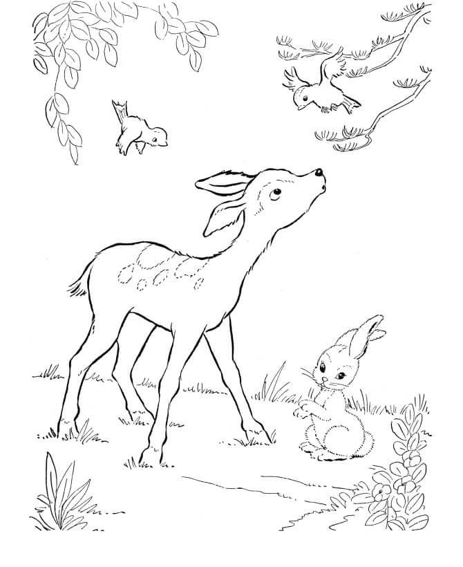 Printable coloring book Deer rabbit and birds