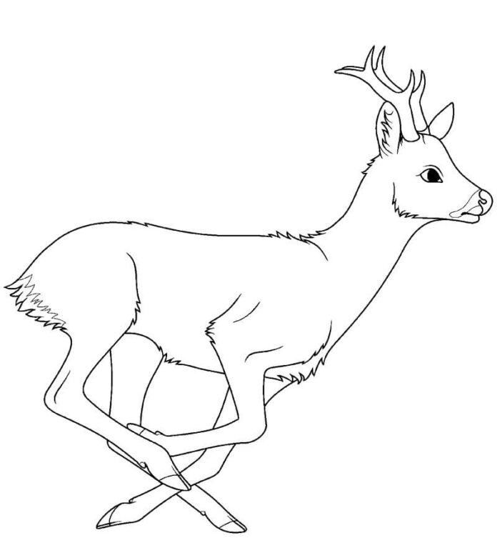 Printable coloring book Deer on the Run