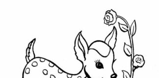 Malbuch Deer aus dem Cartoon für Kinder zum Ausdrucken