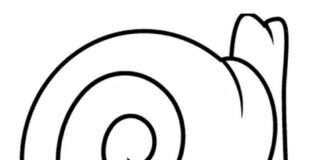 Online coloring book Snail in the shell