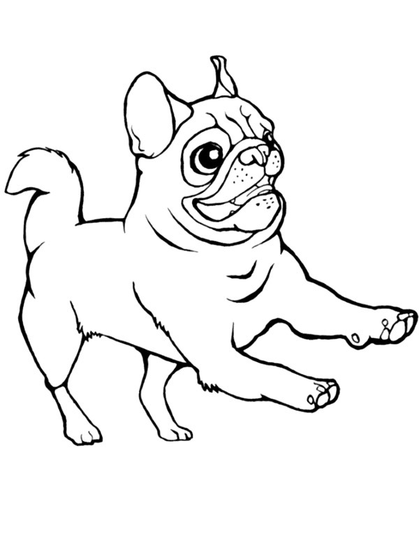 Online coloring book Crazy little moppet