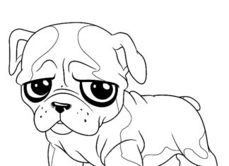 Livro colorido online Bulldog filhote de cachorro francês