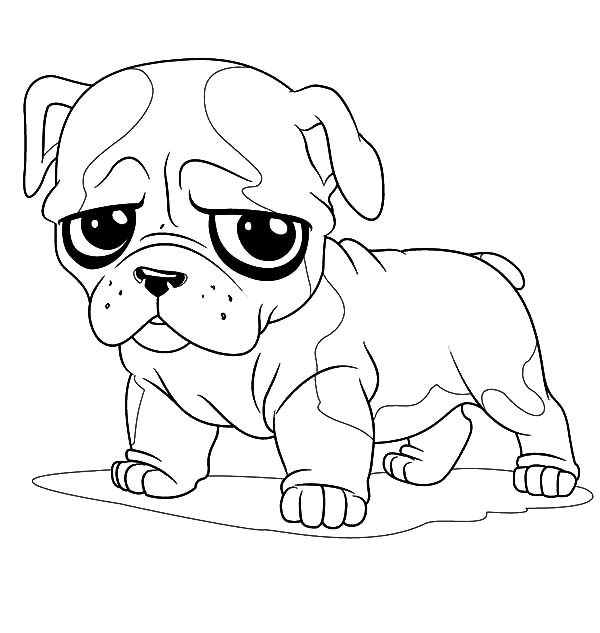 Livro colorido online Bulldog filhote de cachorro francês