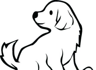 Libro para colorear en línea Cachorro de golden retriever