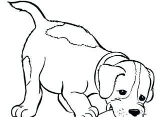 Livre de coloriage en ligne Un chiot beagle mord une chaussure