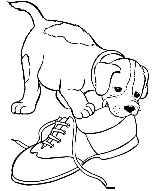 Online värityskirja Beaglen pentu pureskelee kenkää