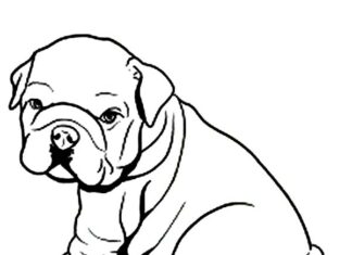Livro colorido on-line Bulldog filhote de cachorro