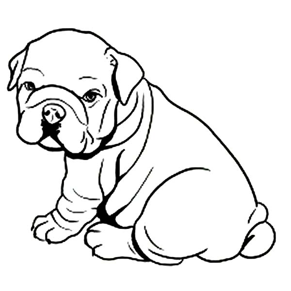 Libro da colorare online Cucciolo di bulldog