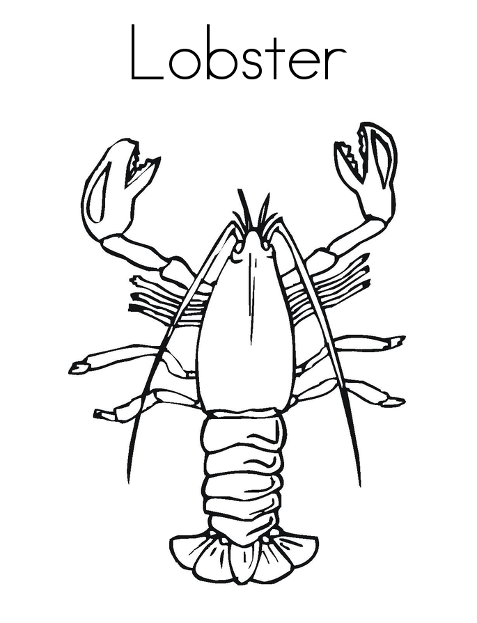 Livro para colorir on-line Isto é o que uma lagosta parece
