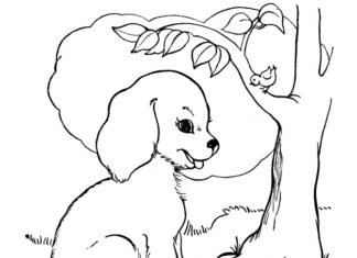 Livre de coloriage en ligne Un chien mignon sur l'herbe