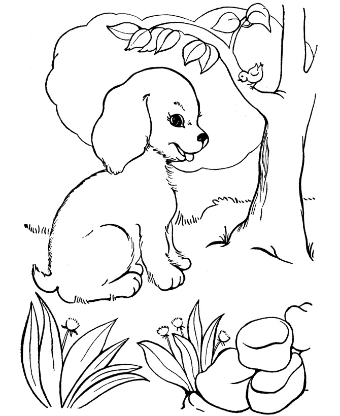 Libro da colorare online Un simpatico cane sull'erba