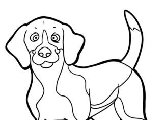 Livro online para colorir The contented Beagle