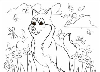 Livro online para colorir Um feliz husky em um prado