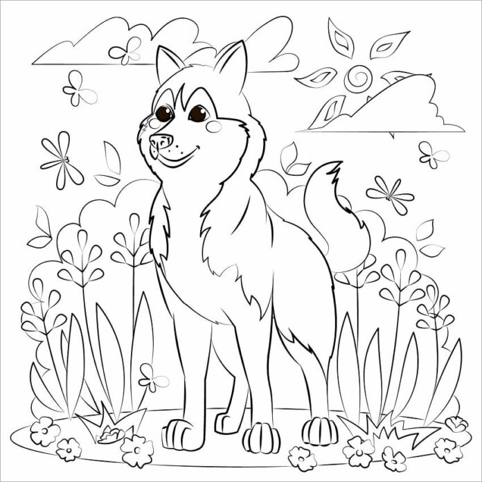 Online coloring book A happy husky in a meadow