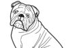 Online-Malbuch Erstaunliche Cartoon-Bulldogge