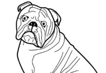 Livre de coloriage en ligne Bulldog astucieux cartoon