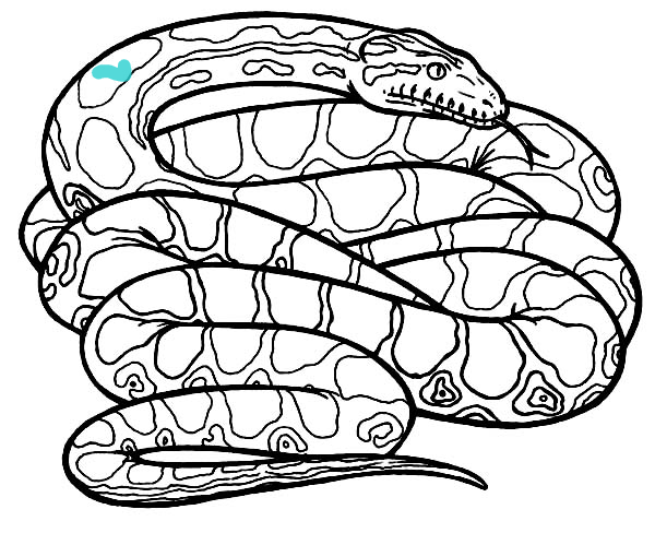 Online-värityskirja Curled up anaconda käärme