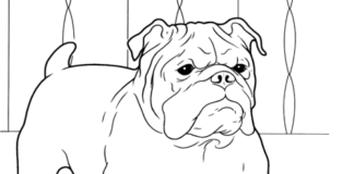 Online värityskirja bulldoggi vartioi kulhoa