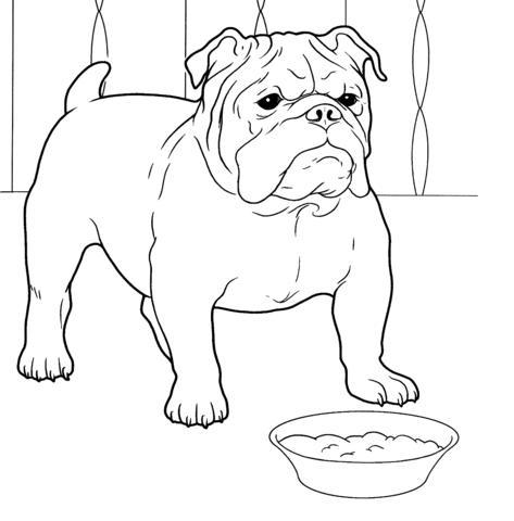 Färgbok online Bulldoggen vakar över skålen
