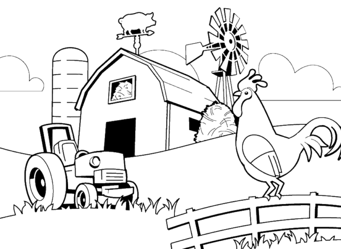 Online coloring book rooster crowing in the countryside