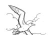 Páginas coloridas online Albatross voa à beira-mar